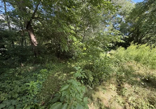 2nd image of Lot 1 E Madison St, Batavia, IL 60510 | MLS# 12734753