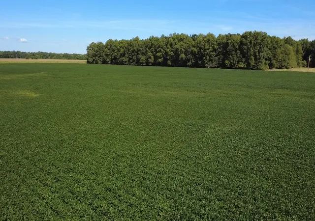 Photo 5 of Land for sale at 0 E Bakerville Rd, Mt Vernon, IL 62864 | MLS# 12735810 | Listing updated on 2026-08-24