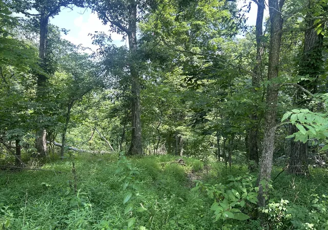 Photo 2 of Land for sale at Tbd Bushwack Rd, Golconda, IL 62938 | MLS# 12737346 | Listing updated on 2026-08-26