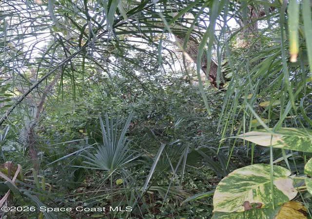Photo 3 of Land for sale at 4824 Curtis Blvd, Cocoa, FL 32927 | MLS# 1083032 | Listing updated on 2026-08-01