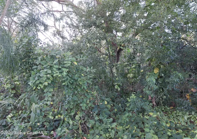 Photo 3 of Land for sale at 4824 Curtis Blvd, Cocoa, FL 32927 | MLS# 1083032 | Listing updated on 2026-08-01