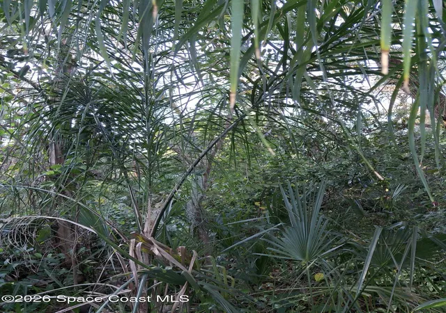 Photo 4 of Land for sale at 4824 Curtis Blvd, Cocoa, FL 32927 | MLS# 1083032 | Listing updated on 2026-08-01