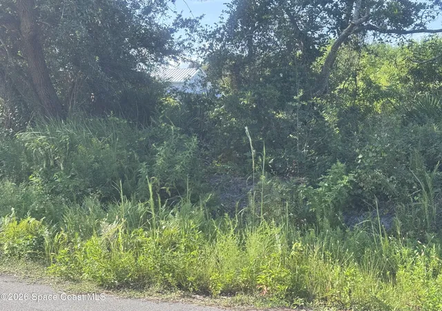 Photo 3 of Land for sale at Tbd Reef Pl, Malabar, FL 32950 | MLS# 1084817 | Listing updated on 2026-08-19