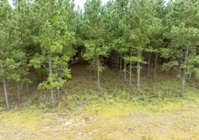 Photo 2 of Land for sale at 3600 Ne Rocky Frd Rd, Madison, FL 32340 | MLS# 2104203 | Listing updated on 2026-08-03
