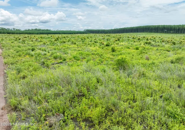 Photo 3 of Land for sale at 3600 NE Rocky Frd Rd, Madison, FL 32340 | MLS# 2104203 | Listing updated on 2026-08-03