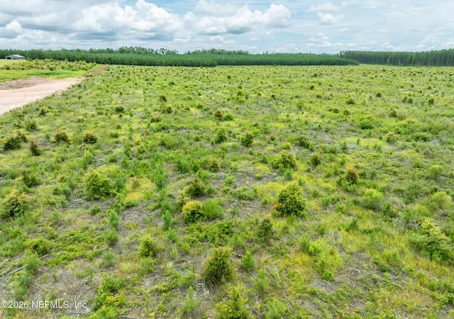 Photo 4 of Land for sale at 3600 NE Rocky Frd Rd, Madison, FL 32340 | MLS# 2104203 | Listing updated on 2026-08-03