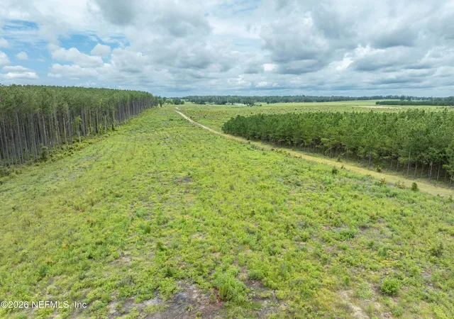 Photo 2 of Land for sale at 3500 Ne Rocky Frd Rd, Madison, FL 32340 | MLS# 2104202 | Listing updated on 2026-08-03