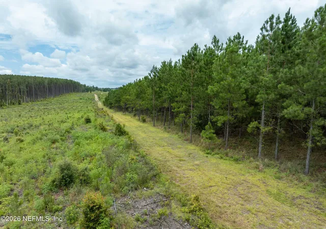 Photo 3 of Land for sale at 3500 NE Rocky Frd Rd, Madison, FL 32340 | MLS# 2104202 | Listing updated on 2026-08-03