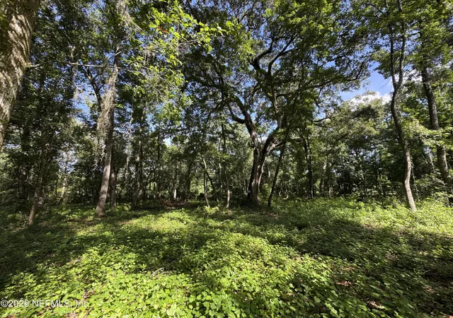 Photo 1 of Land for sale at 241 Indian Lakes Forest Rd, Florahome, FL 32140 | MLS# 2145916 | Listing updated on 2026-08-18