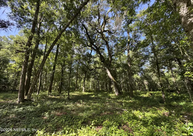 Photo 2 of Land for sale at 241 Indian Lakes Forest Rd, Florahome, FL 32140 | MLS# 2145916 | Listing updated on 2026-08-18