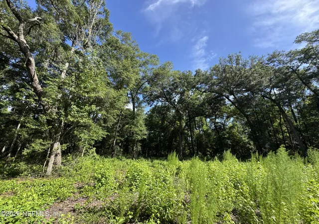 Photo 30 of Land for sale at 241 Indian Lakes Forest Rd, Florahome, FL 32140 | MLS# 2145916 | Listing updated on 2026-08-18