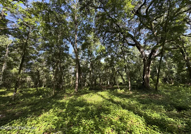 Photo 3 of Land for sale at 241 Indian Lakes Forest Rd, Florahome, FL 32140 | MLS# 2145916 | Listing updated on 2026-08-18