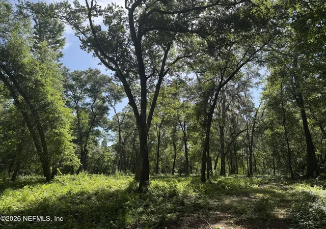 Photo 4 of Land for sale at 241 Indian Lakes Forest Rd, Florahome, FL 32140 | MLS# 2145916 | Listing updated on 2026-08-18