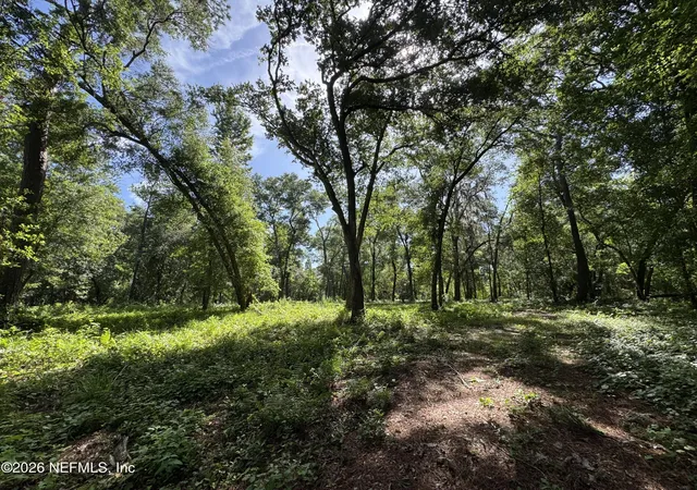 Photo 5 of Land for sale at 241 Indian Lakes Forest Rd, Florahome, FL 32140 | MLS# 2145916 | Listing updated on 2026-08-18