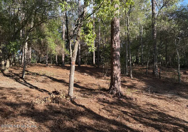 Photo 4 of Land for sale at 7472 Bigbend Ct, Keystone Heights, FL 32656 | MLS# 2146580 | Listing updated on 2026-09-28