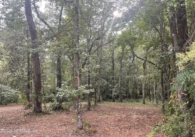 Photo 1 of Land for sale at 4825 Gopher Cir, Middleburg, FL 32068 | MLS# 2148019 | Listing updated on 2026-09-05