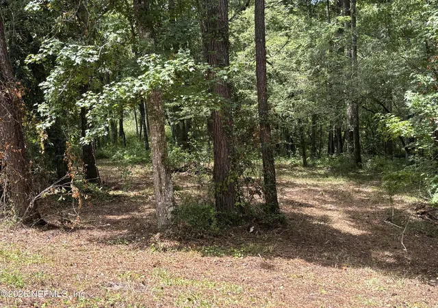 Photo 2 of Land for sale at 4819 Gopher Cir, Middleburg, FL 32068 | MLS# 2148021 | Listing updated on 2026-09-05