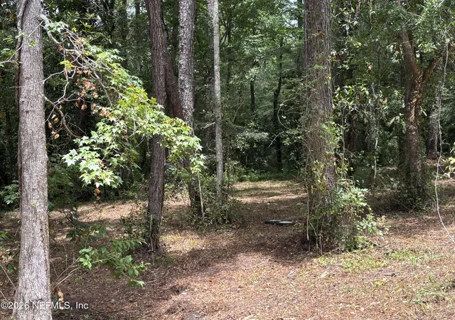 Photo 1 of Land for sale at 4819 Gopher Cir, Middleburg, FL 32068 | MLS# 2148021 | Listing updated on 2026-09-05
