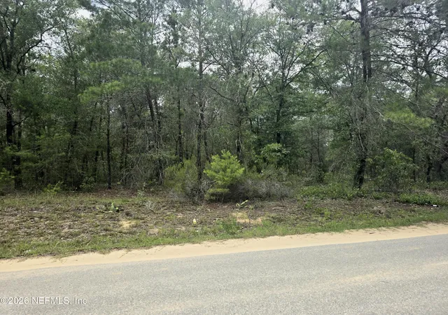 Photo 1 of Land for sale at 105 Park Ave, Interlachen, FL 32148 | MLS# 2148571 | Listing updated on 2026-09-22
