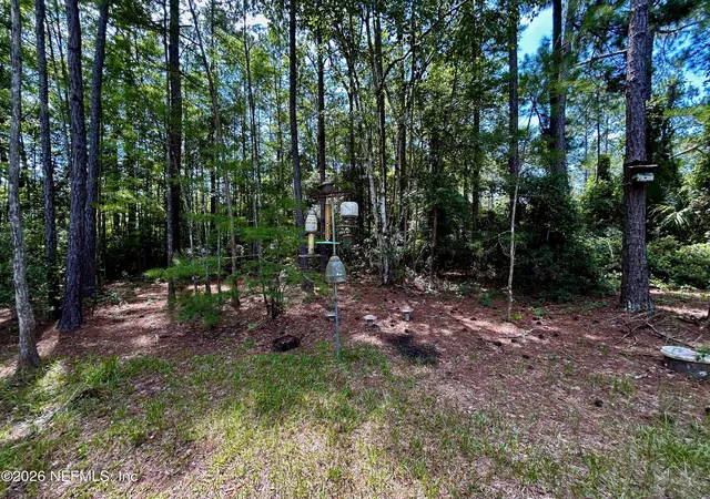 56th image of 4730 Catherine St, Hastings, FL 32145 | MLS# 2153269