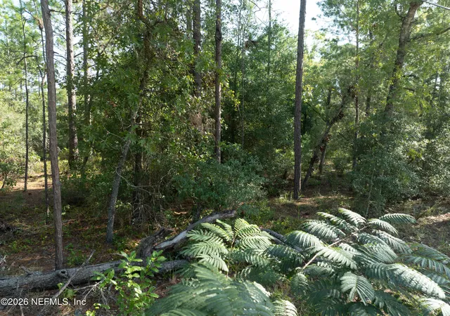18th image of 6118 Furman Ave, Keystone Heights, FL 32656 | MLS# 2158485