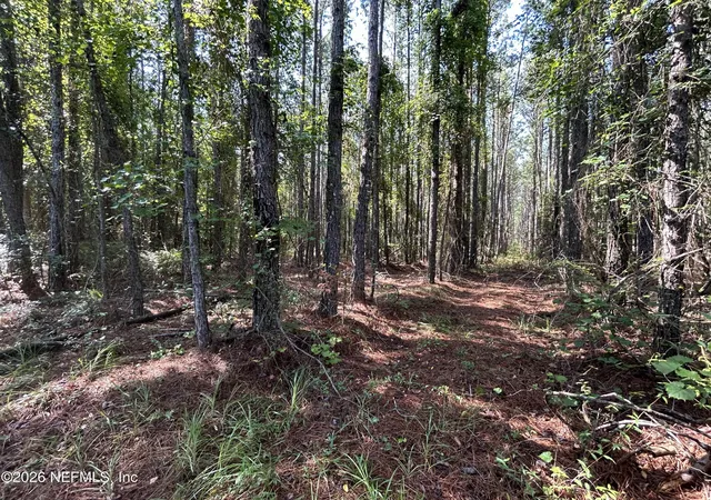 Photo 1 of Land for sale at 709 Georgetown Denver Rd, Crescent City, FL 32112 | MLS# 2158516 | Listing updated on 2026-08-04