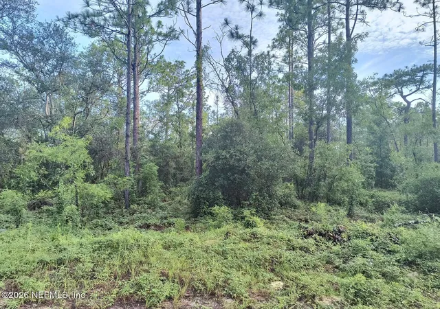 5th image of 6238 Northwestern Ave, Keystone Heights, FL 32656 | MLS# 2155591