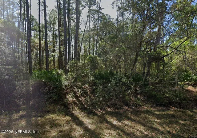 Photo 1 of Land for sale at 213 Terri Ave, Georgetown, FL 32139 | MLS# 2156167 | Listing updated on 2026-07-20