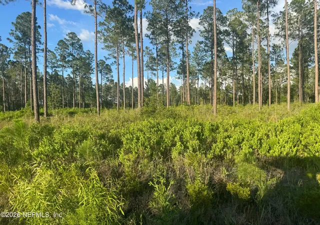 Photo 1 of Land for sale at Tbd Nw Co Rd 235, Lake Butler, FL 32054 | MLS# 2156074 | Listing updated on 2026-07-21