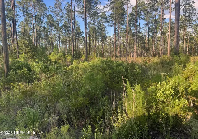 Photo 4 of Land for sale at Tbd NW Co Rd 235, Lake Butler, FL 32054 | MLS# 2156074 | Listing updated on 2026-07-21