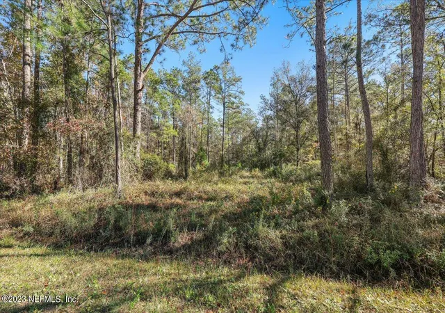 Photo 1 of Sale Pending at 10690 Gregory Ave, Hastings, FL 32145 | MLS# 2156982 | Listing updated on 2026-10-05