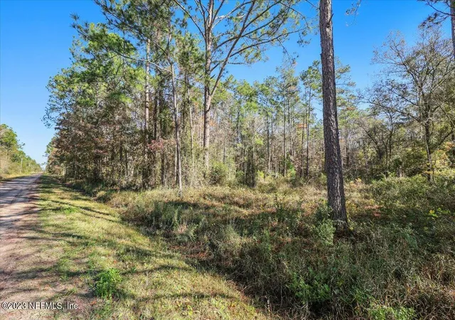 Photo 2 of Sale Pending at 10690 Gregory Ave, Hastings, FL 32145 | MLS# 2156982 | Listing updated on 2026-10-05