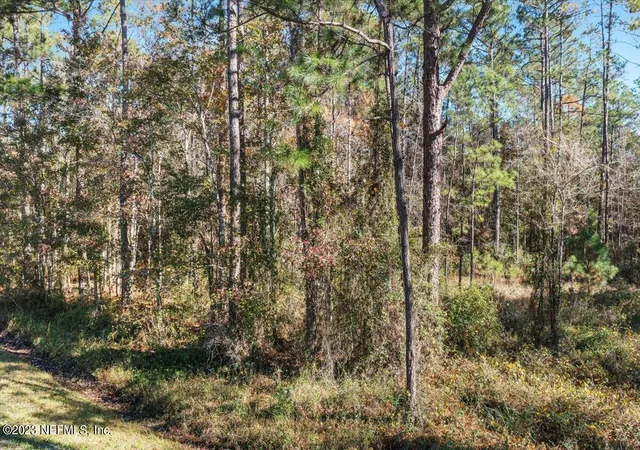Photo 3 of Sale Pending at 10690 Gregory Ave, Hastings, FL 32145 | MLS# 2156982 | Listing updated on 2026-10-05