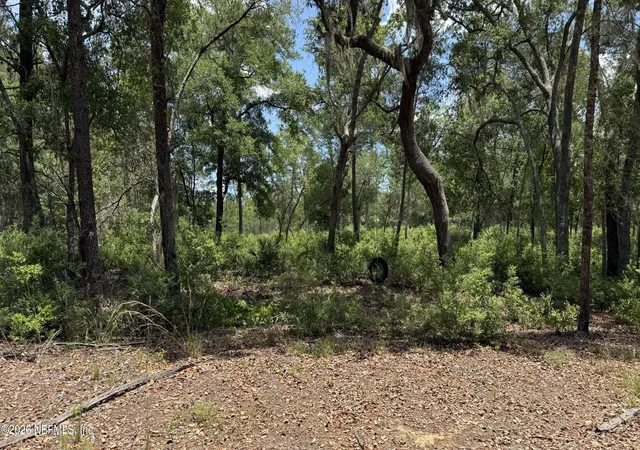 Photo 1 of Land for sale at 960 State Rd 100, Florahome, FL 32140 | MLS# 2156254 | Listing updated on 2026-07-20