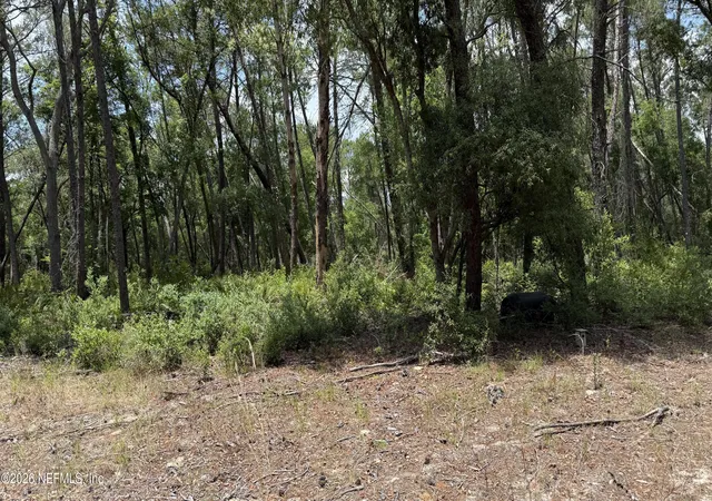 Photo 3 of Land for sale at 960 State Rd 100, Florahome, FL 32140 | MLS# 2156254 | Listing updated on 2026-07-20