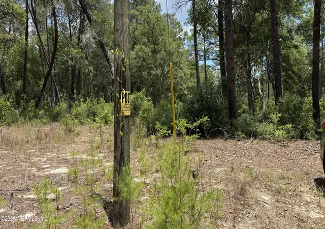 Photo 4 of Land for sale at 960 State Rd 100, Florahome, FL 32140 | MLS# 2156254 | Listing updated on 2026-07-20