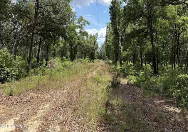 Photo 5 of Land for sale at 960 State Rd 100, Florahome, FL 32140 | MLS# 2156254 | Listing updated on 2026-07-20