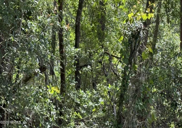 Photo 6 of Land for sale at 960 State Rd 100, Florahome, FL 32140 | MLS# 2156254 | Listing updated on 2026-07-20