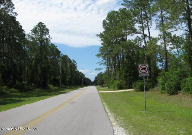 Photo 3 of Land for sale at 113 Sandpiper Ln, Georgetown, FL 32139 | MLS# 2157420 | Listing updated on 2026-07-29
