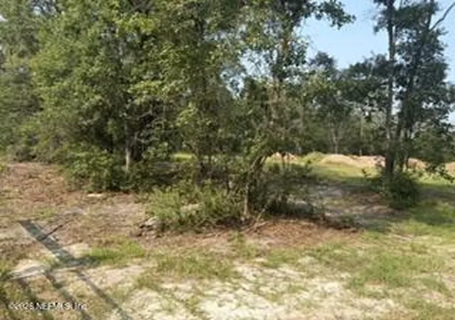 Photo 3 of Land for sale at 2839 Windemere Ct, Middleburg, FL 32068 | MLS# 2157829 | Listing updated on 2026-09-05
