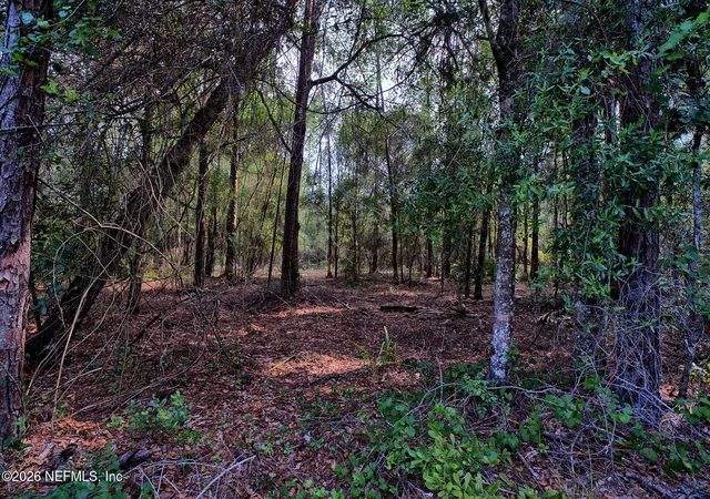 Photo 3 of Sale Pending at 000 Cousintown Rd, Interlachen, FL 32148 | MLS# 2157779 | Listing updated on 2026-10-02