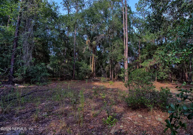 Photo 3 of Sale Pending at 000 Cousintown Rd, Interlachen, FL 32148 | MLS# 2157779 | Listing updated on 2026-10-02