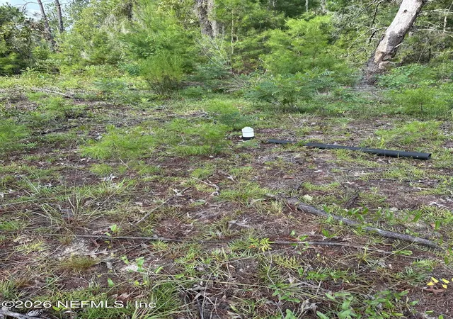 Photo 3 of Land for sale at 121 Panama St, Interlachen, FL 32148 | MLS# 2157955 | Listing updated on 2026-10-23