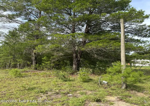 Photo 3 of Land for sale at 121 Panama St, Interlachen, FL 32148 | MLS# 2157955 | Listing updated on 2026-10-23