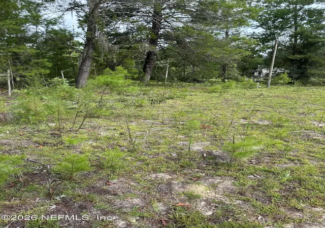 Photo 4 of Land for sale at 121 Panama St, Interlachen, FL 32148 | MLS# 2157955 | Listing updated on 2026-10-23