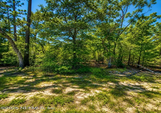 2nd image of 507 & 509 Baden Powell Road Road, Hawthorne, FL 32640 | MLS# 2158028