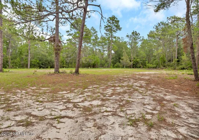 Photo 4 of Single family home for sale at 8237 Forest Hills Rd, Melrose, FL 32666 | MLS# 2158176 | Listing updated on 2026-08-17