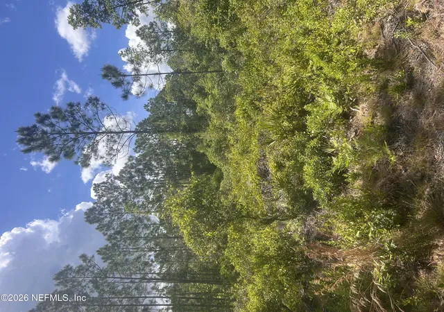 Photo 1 of Land for sale at 242 Lakeway Dr, Georgetown, FL 32139 | MLS# 2158200 | Listing updated on 2026-08-01