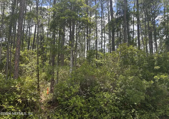Photo 2 of Land for sale at 242 Lakeway Dr, Georgetown, FL 32139 | MLS# 2158200 | Listing updated on 2026-08-01