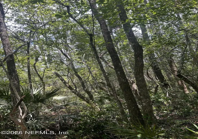 Photo 3 of Land for sale at 242 Lakeway Dr, Georgetown, FL 32139 | MLS# 2158200 | Listing updated on 2026-08-01